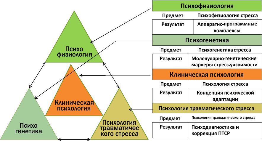 клиническая психология что это за профессия