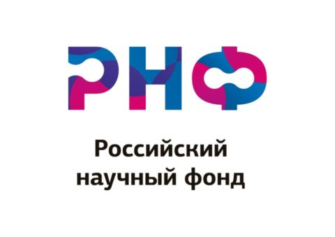 Региональный грант рнф